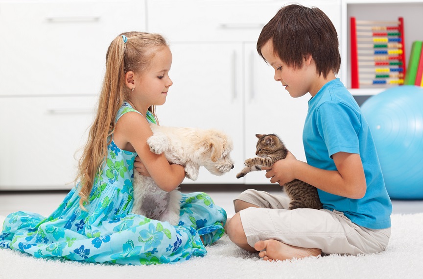 1575956463163322z77t.jpg 玩猫.jpg