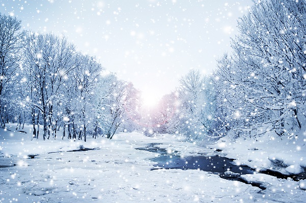 15742339112465607Hgt.jpg 下雪天.jpg