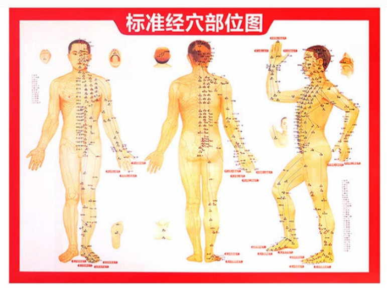 1576130988700055fGHL.png 穴位图.png